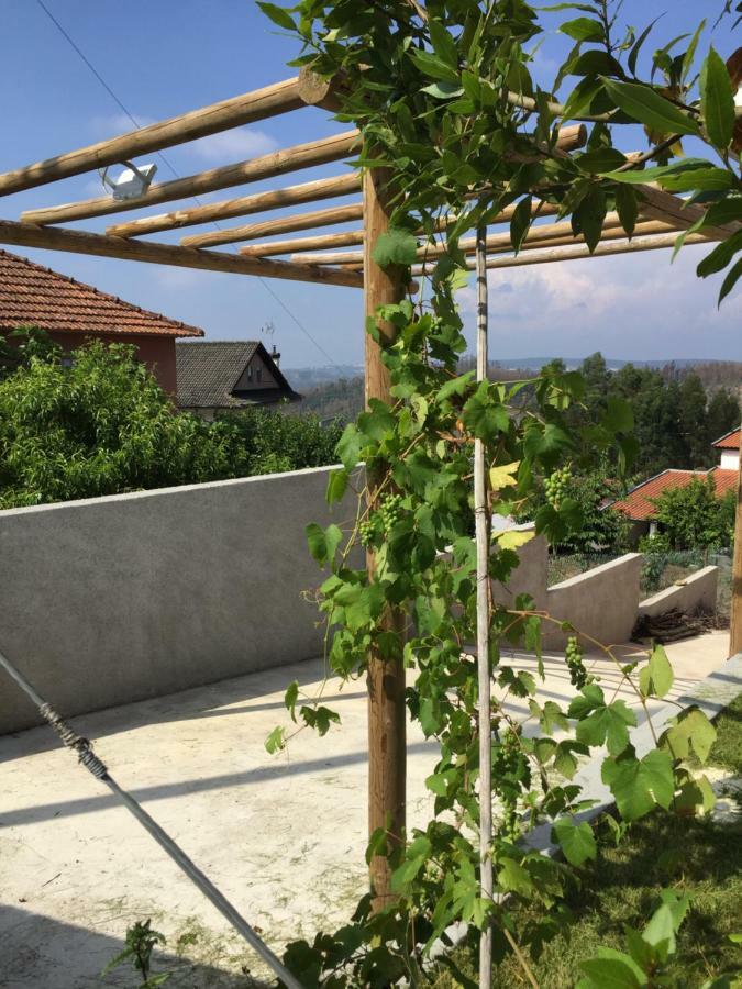 Sarnadela Vale Coelhos Casa De Campo מראה חיצוני תמונה